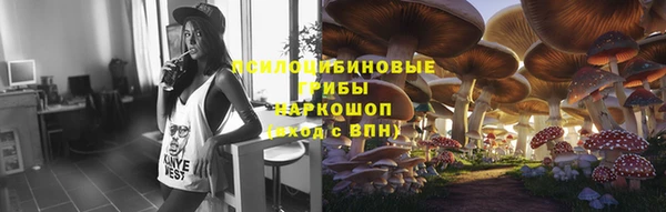 спиды Киреевск