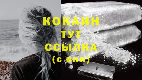 дживик Кинешма