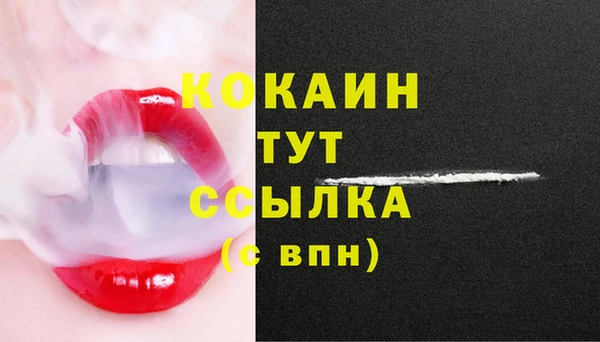 дживик Кинешма