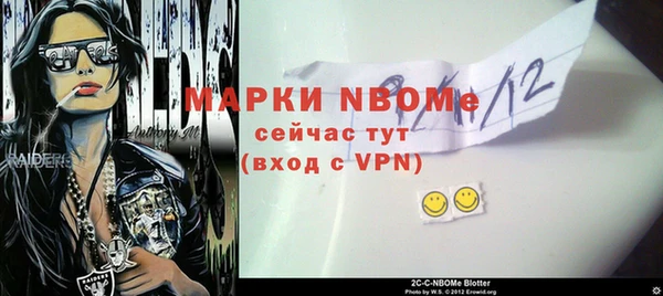 дживик Кинешма